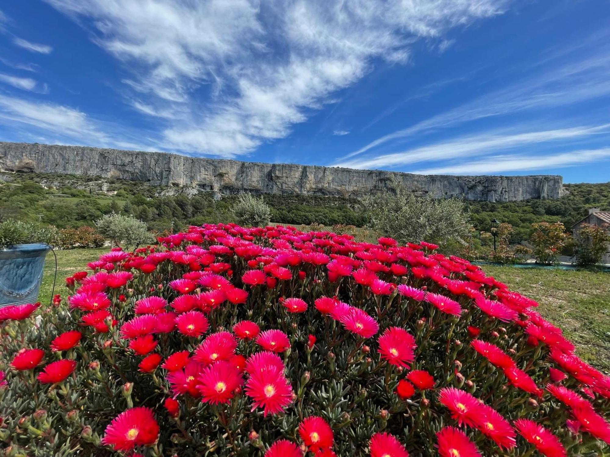 Gite La Madeleine Du Luberon. Lioux Bagian luar foto