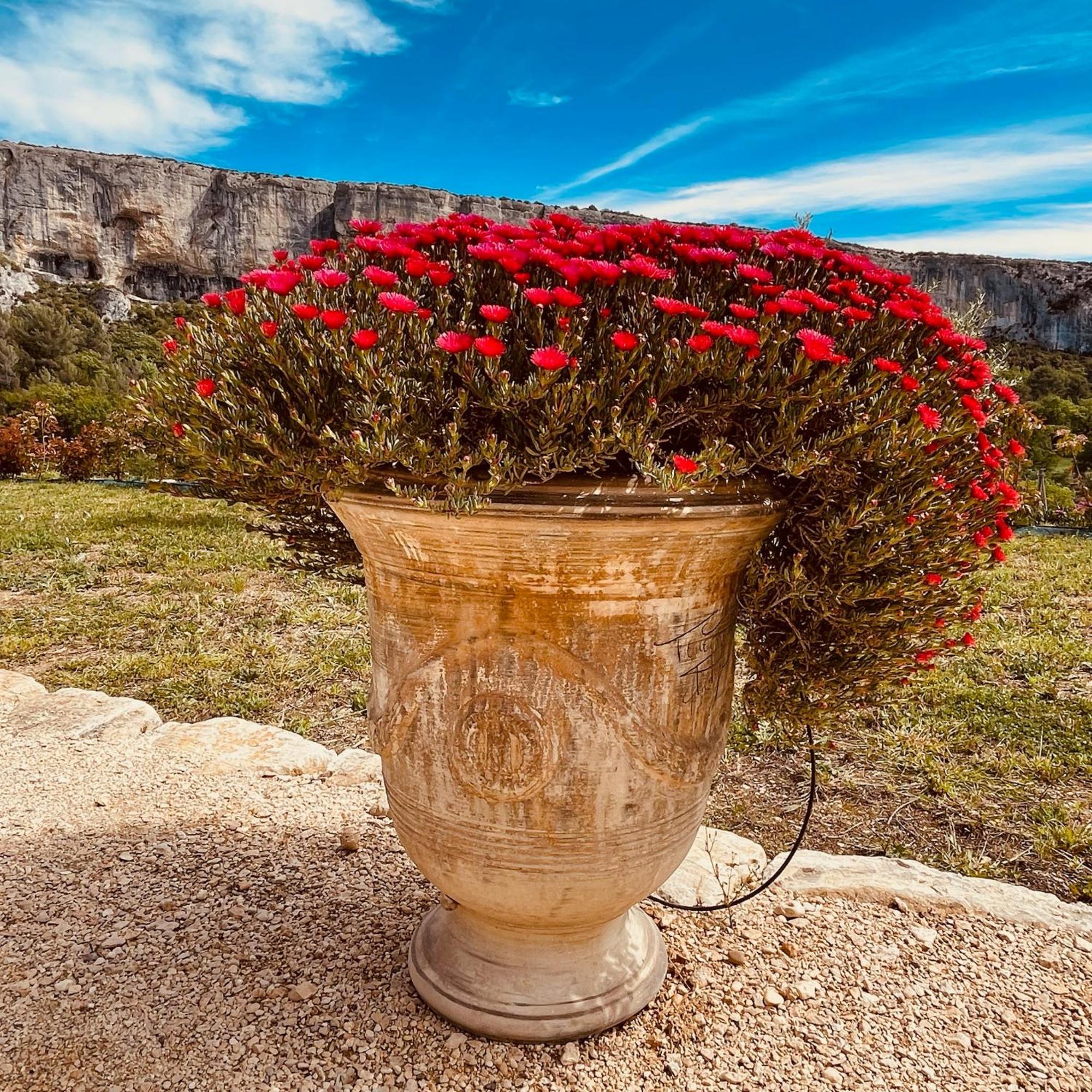 Gite La Madeleine Du Luberon. Lioux Bagian luar foto